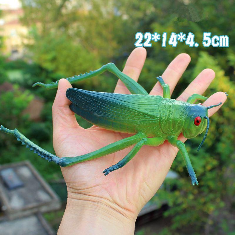Wild Insect Animals Model Set Butterfly Scorpion Mantis Cicada Lizard Action Figures Miniature Kid Education Halloween Toy