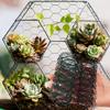 10/1M Sechseckgeflecht Hühnerdraht Zaun Blumengestecke Garten Geflügel Pflanzen Blumen Schutznetze DIY Handwerk