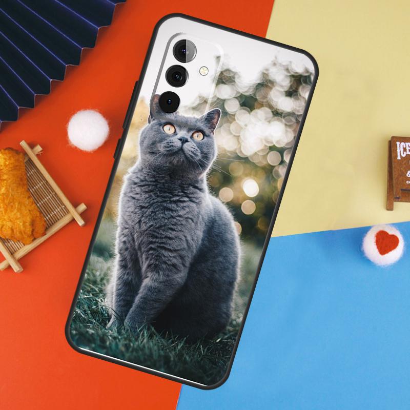 

British Shorthair Cat Case For Samsung Galaxy A56 A36 A16 A06 A13 A33 A53 A52 A32 A12 A54 A34 A14 A15 A35 A55 A17 Samsung A36