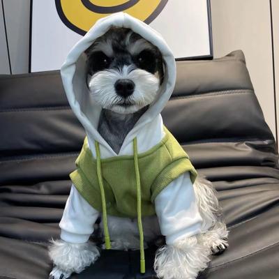 Hundkläder & Skor – Hundtröjor
