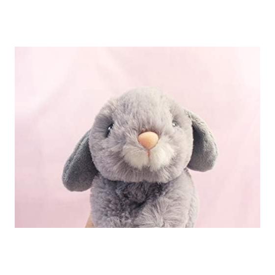 Takeoff Rabbit Maron Lop Ear Gray