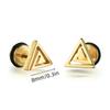 1Pair Star Lightning Titanium Steel Unisex Women Men Black Clear Crystal Zircon Ear Studs Earrings Shiny Piercing Jewelry Gift