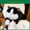 Cartoon Cute Cat Plush Toy With Sound Function For Children Toys Companionship
