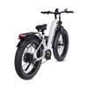 RZOGUWEX S9 All-Terrain Electric Bike 1000W Motor 25AH Battery Electric Bicycle 20 Inch Off-Road Tires Adult E-Mountain Bike
