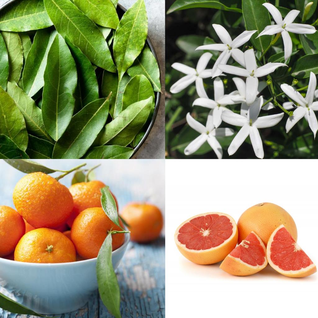 PheroStrong Pheromone by Night for Men Perfume with Pheromones for Men To Excite Women