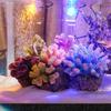 AC12-24V Waterproof Underwater RGB Colorful LED Flood Lights White / Warm white / RGB Waterproof Fountain Pool Lamps With Remote