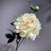 Realistic Peony Flowers for Home, Wedding, Hotel Decor & Photography Props