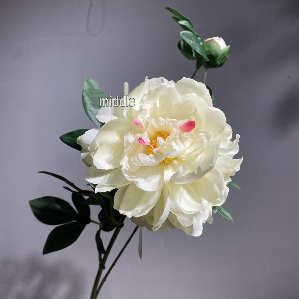 Realistic Peony Flowers for Home, Wedding, Hotel Decor & Photography Props