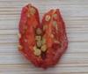 15 GOJI-BEEREN "CA. 300 Samen Wir versenden die getrockneten Beeren - FRISCHE SAMEN