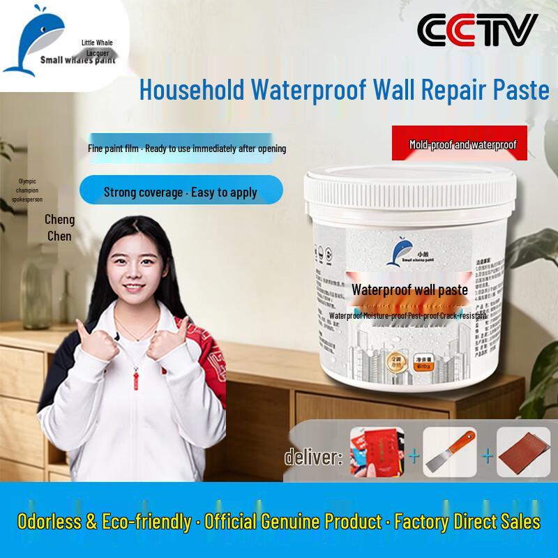 Xiaojing Waterproof Anti-Mold Wall Repair Putty 600g (with tools)