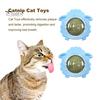 Wall Catnip Ball Toy Rotatable Catnip Ball Lick Treats Catnip Toy Sheep Shape Toy with Dust-Proof Cover for Cat Oral Health