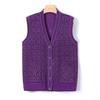 Vest Jacket Middle-aged and Elderly Knitted Sweater Vest Casual Grandma Autumn Top
