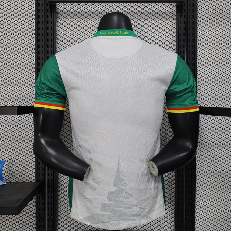 Cameroon Jersey Cameroon Player Version Home Two Guests African National Team Football Jersey