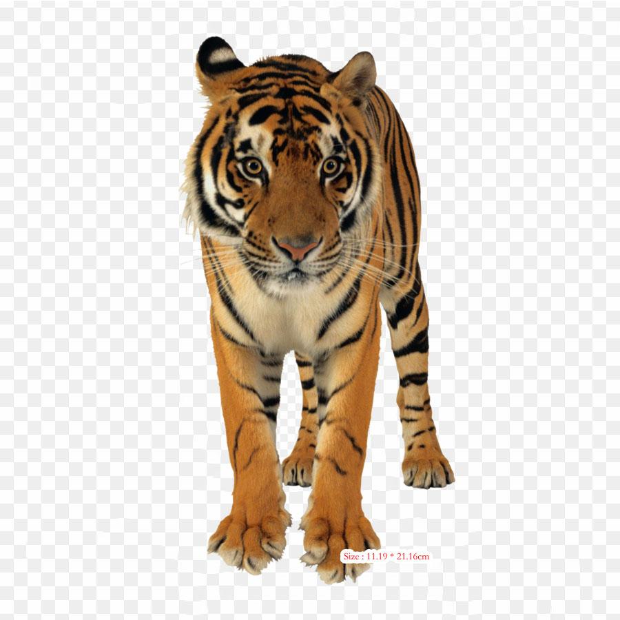 

Гепард Рафики Рафики Гепард утюг на термопереносной печати виниловые нашивки наклейки для одежды DIY аппликации моющиеся нашивки