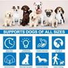 Jouet interactif pour chien - ULISEM - Distributeur de friandises - ABS alimentaire - 15,5 x 8,7 cm
