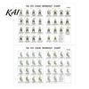 Tai Chi Mobility Exercises Seniors Chair Workout Chart for 30 Day Structured Exercise Plan with Seated Low Impact And Walking Balance Flexibility Home