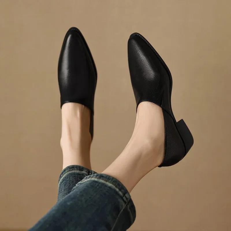Fashion Single-shoe Girls Spring and Autumn New Thick-heeled Pointy Retro Small Leather Shoes Women's Shoes With