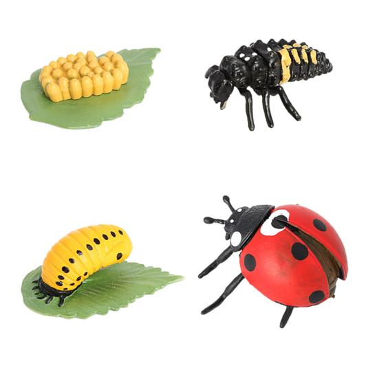 Simulation Insect Model Butterfly Growth Cycle Figurine Kids Educational Toy