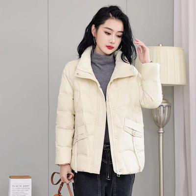 Daunenjacke Damen Kurze Version Winterprodukt Koreanische Version Damen Weiße Entendaunen Übergröße