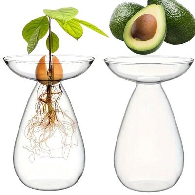 Avocado Seed Starter Vase Transparent Plant Propagation Station Glass 1-4PCS Avocado Tree Flower Vase for Gardening Home Decor