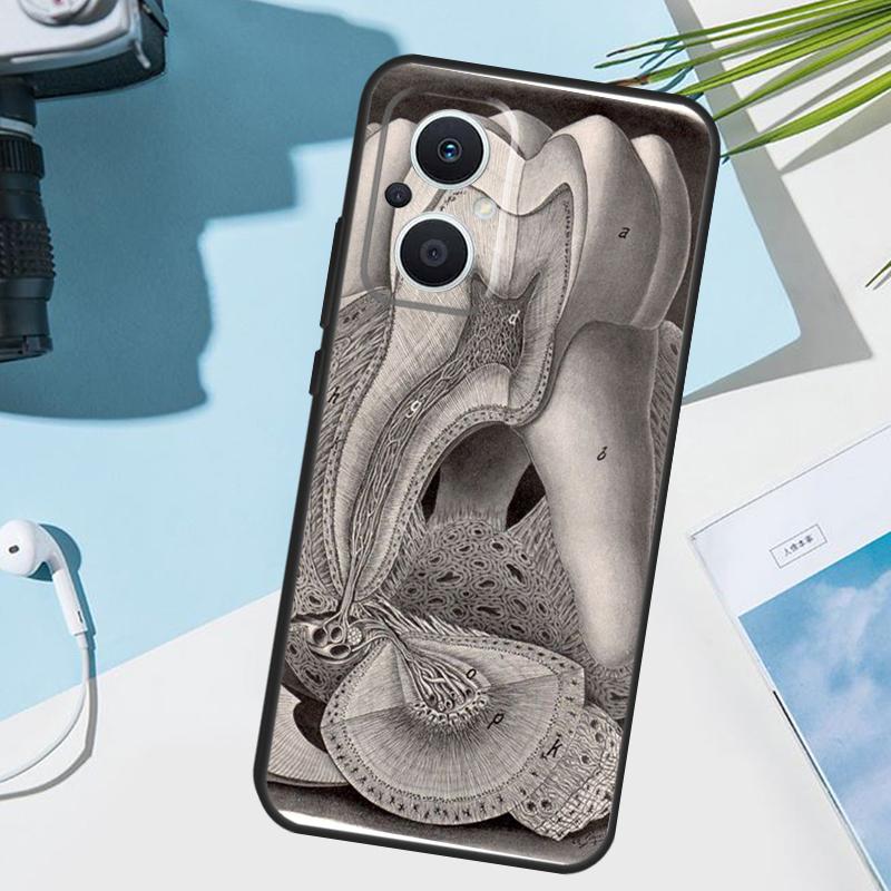 

Human Tooth Anatomy Cover For OPPO Reno 14F 13F 12F 11F 8T 7 8 Lite 10 11 12 13 14 OPPO Find X9 X8 X5 X6 Pro Case OPPO Reno13 F