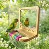 Anti-slip Wood Bird Training Stand Interactive Parrot Biting Rod  Bird Cage Accessories