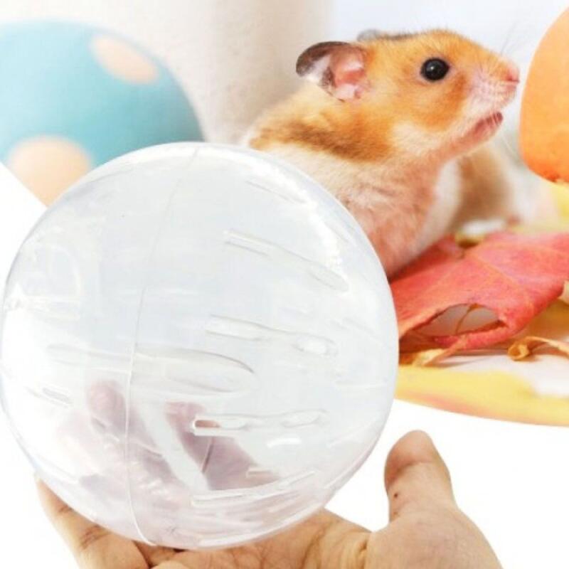 Hamster exercise wheel ball