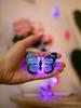 Non-Toxic 12Pcs Random Plastic Creative Butterfly Decoration Home 3D Night Light Wall Stickers Christmas Festival Home Decoration