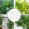 Elastic Trellis Net for Plant Net with Hook Flexible Hydroponics Support