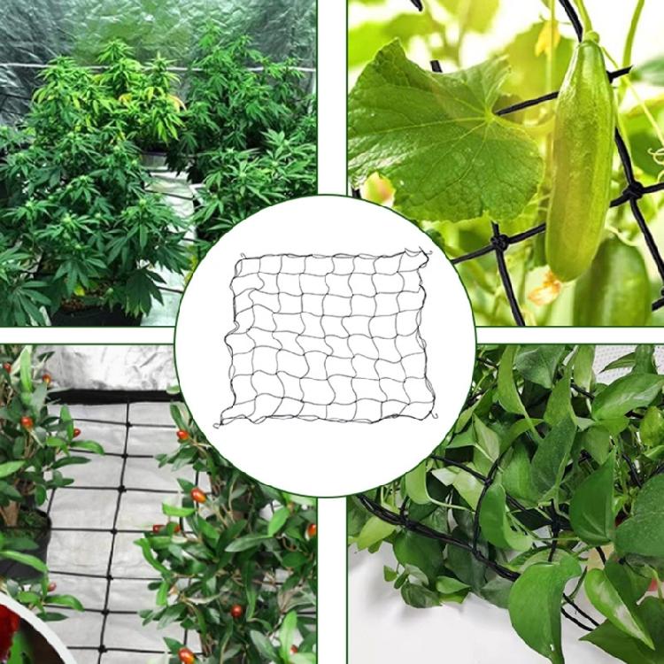 Elastic Trellis Net for Plant Net with Hook Flexible Hydroponics Support