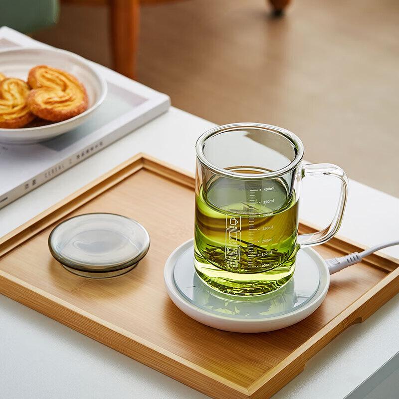 Lvchangming Glass Tea Cup with Thick Wooden Handle, Large Capacity Tea Infuser Mug for Office And Home Use with Filter, Transparent