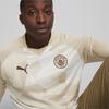 Puma Pre Match Sweat Top Mcfc