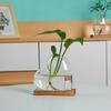 Transparent Hydroponic Glass Vase Decorative Tabletop Plant Vase Mini Terrarium  Desktop Decoration