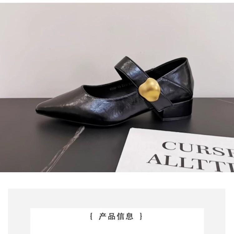 French Thick Heel Velcro Shallow Mouth Single Shoes Women's 2025 Autumn New Pointed Foreign Style Versatile Mary Jane Small Leather Shoes