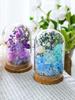 Preserved Flower Glass Dome DIY Kit for Handmade Decoration and Gifts