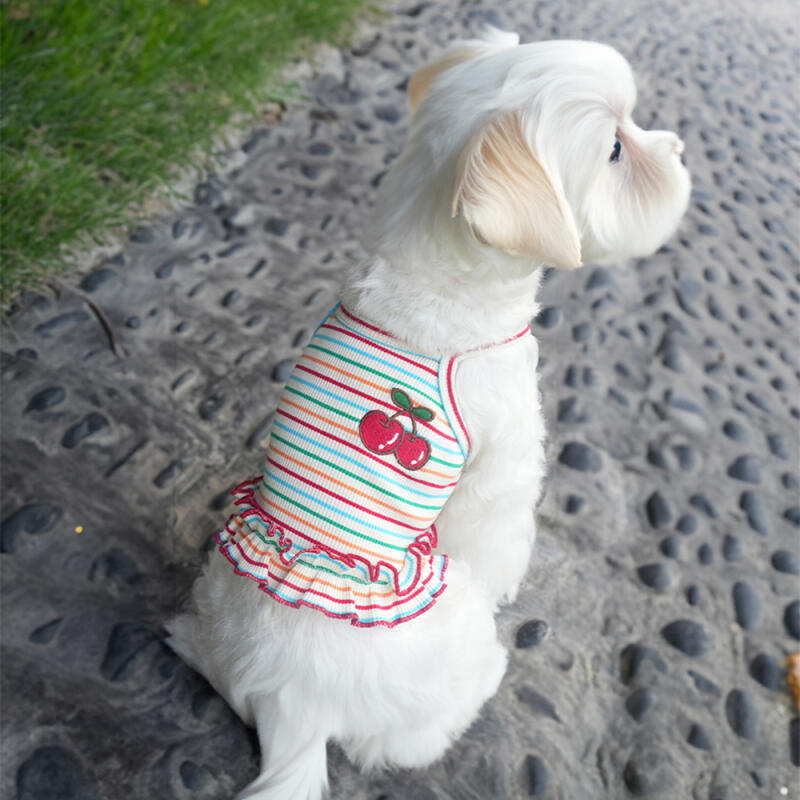 Daily dog clothes one-piece, sleeveless, pet clothes Dog Clothes One Piece Nashi (M) LDR-SL03