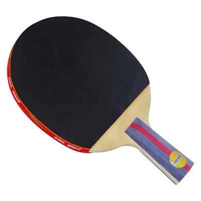 DHS 2-Star Table Tennis Racket