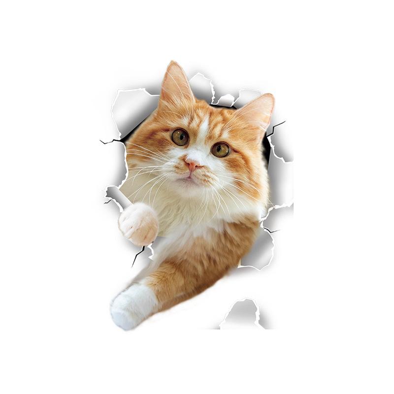 3D samolepka na zeď kočky Samolepky na toaletu Pohled na díru Živá koupelna pro domácí dekorace Zvířátka Vinyl Decals Art Wallpaper Plakát