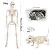 Halloween Dog Skeleton Man Decoration 90/165cm - Horror Prank for Haunted House or Escape Room