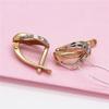 Purple Gold Earrings, Classic Temperament, Fashion Personality, High-End Design, Women'S Rose Gold-Plated Ear Buckles