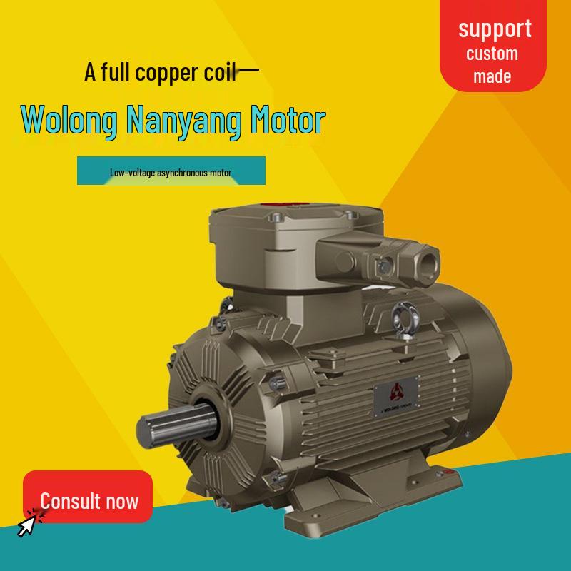 Wolong Nanyang IE4 Three-Phase Asynchronous Motor with Full Copper Winding, Low-Voltage High-Efficiency.