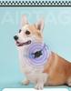 Pet Collar GPS Tracker with Airtag Protective Case for iOS & Android