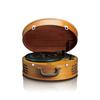 Plattenspieler - klassisches Phono - Retro-Koffer, zwei integrierte Lautsprecher - tt-34 - braun
