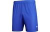Men's Shorts Under Armour Shorts Unisex Royal Blue
