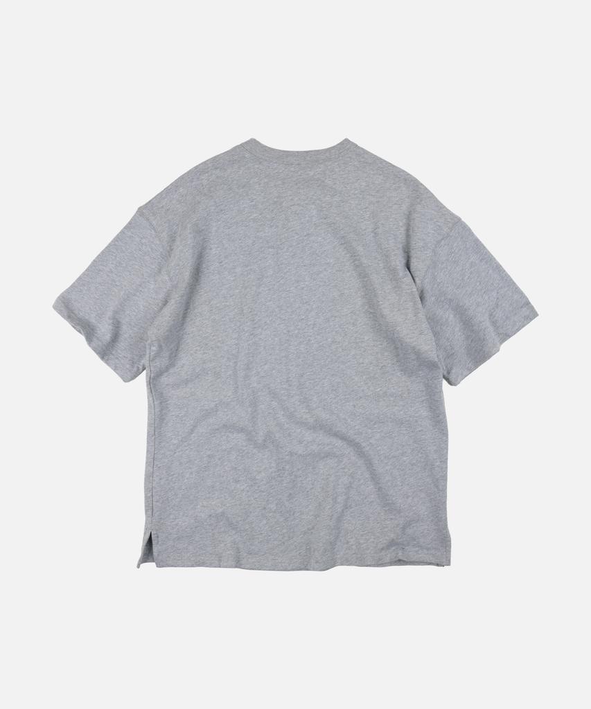FRIZMWORKS Henley Neck Half Tee _ Gray