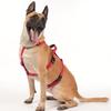 Dog Harness Anti Escape Vest Adjustable Training Vest Pet Strong Training Walking Swimming Hiking Anti Escape Belt