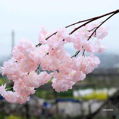 Decorazioni per la casa – Ghirlande e fiori artificiali