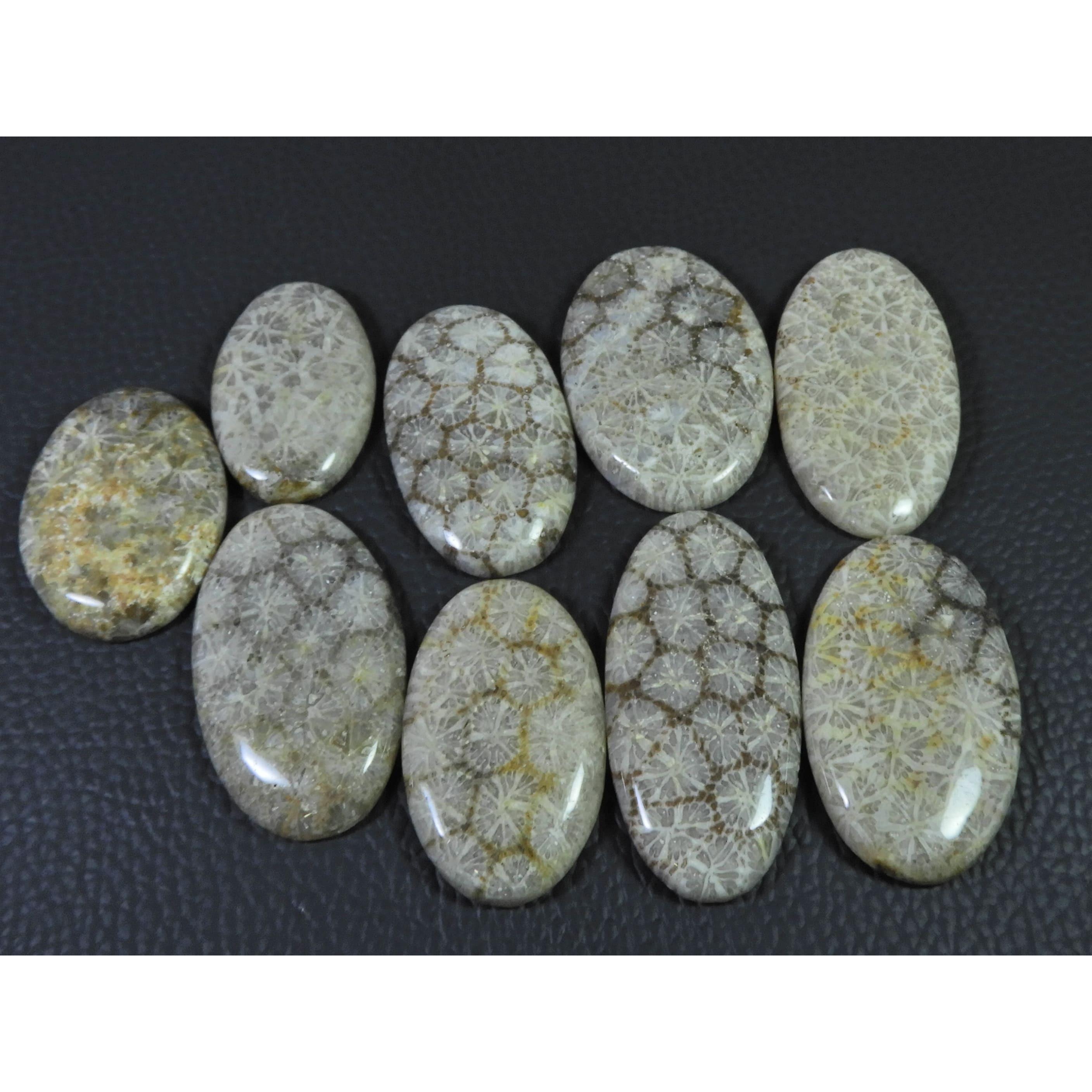 

355Cts. Natural Fossil Coral Oval Cabochon Loose Gemstone 9Pcs Lot C-1896