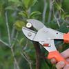 Zahradnické nůžky na větve s ocelovou čepelí s ergonomickou rukojetí zahradnické nůžky na větve Bonsai