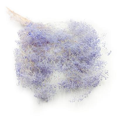 Stabilisierte Schleierkraut Mini - (Schleierkraut) - Lavendel